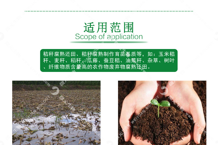 粗纤维降解菌_012