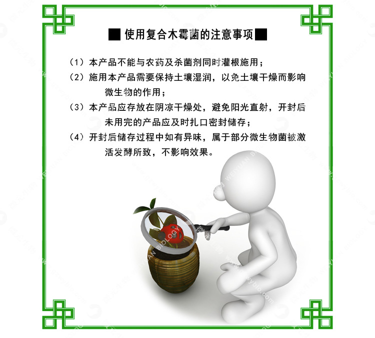 复合木霉菌013