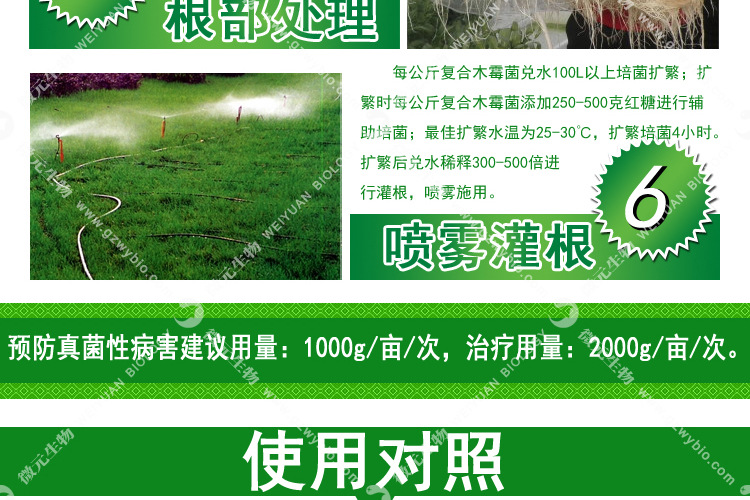 复合木霉菌011