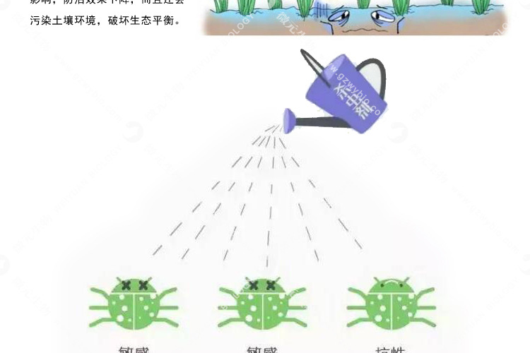 复合木霉菌007