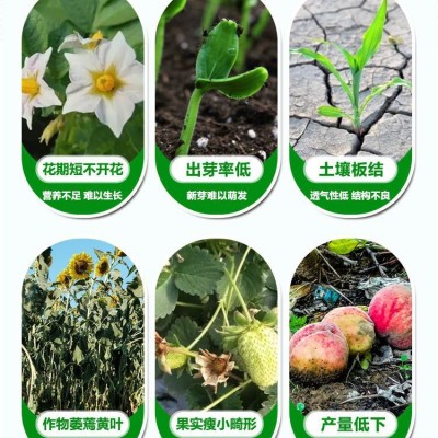 厂家批发中量元素水溶肥全水溶生根壮苗抗病抗逆改良土壤营养全面图4