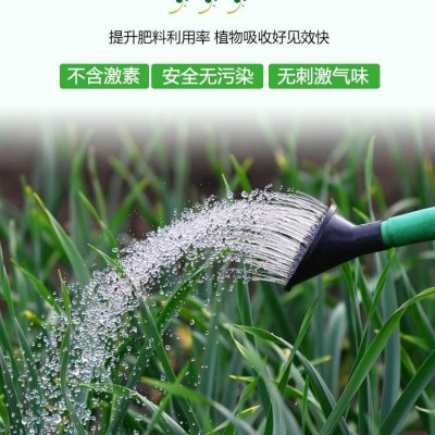 厂家批发中量元素水溶肥全水溶生根壮苗抗病抗逆改良土壤营养全面图3