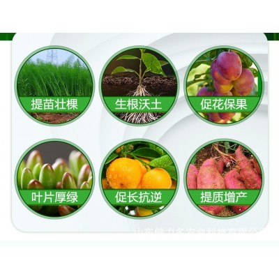 厂家批发英特普蓝果优鱼溶浆生根壮苗促花保果膨果转色苹果适用图5