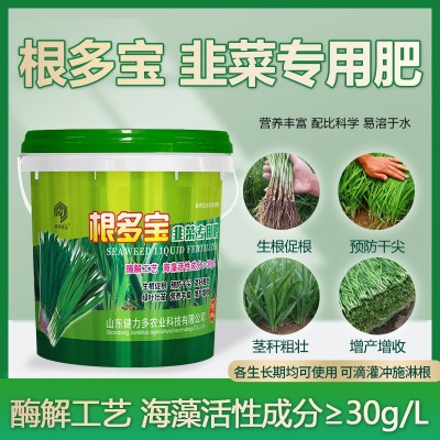 英特普蓝韭菜专用肥生根壮苗预防干尖茎秆粗壮增产增收可冲施滴灌图2