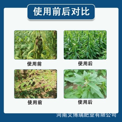 芝麻杀菌正品组合装一喷三防组合杀虫防病营养调节防虫三合一图4