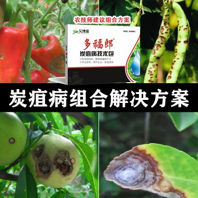 炭疽病套餐苯醚甲环唑唑醚代森联春雷霉素溴菌腈农药农杀菌剂正品图2