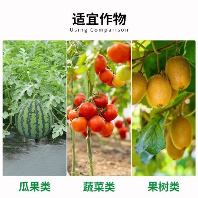 炭疽病套餐苯醚甲环唑唑醚代森联春雷霉素溴菌腈农药农杀菌剂正品图4