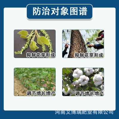 920赤霉酸快速正品农用4%植物生长调节剂农药催芽催熟座果棉花杨图3