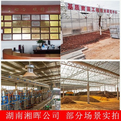 1营养土批发育苗基质通用型泥炭土辣椒蔬菜多肉草炭花土椰糠种植图4