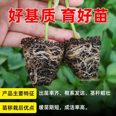 1营养土批发育苗基质通用型泥炭土辣椒蔬菜多肉草炭花土椰糠种植图2