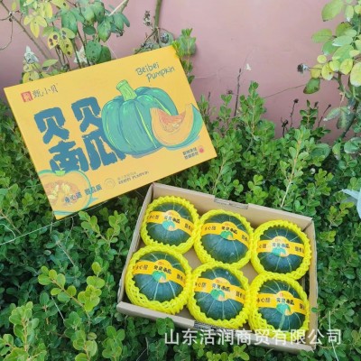 批发正宗贝贝南瓜礼盒装5斤板栗味南瓜迷你贝贝小南瓜礼品整车批图2