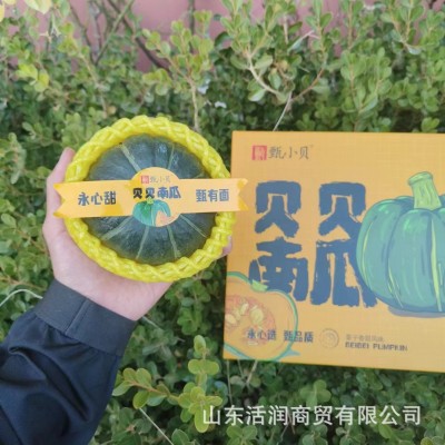 批发正宗贝贝南瓜礼盒装5斤板栗味南瓜迷你贝贝小南瓜礼品整车批图3