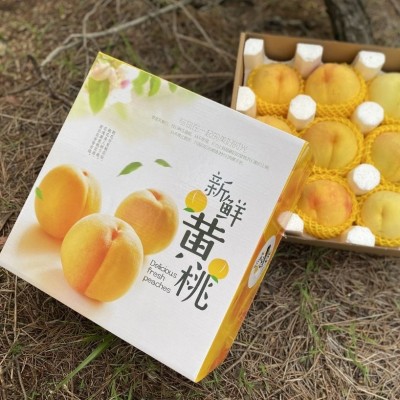 山东蒙阴黄毛桃脆吃脆甜软吃香甜多汁新鲜现货现摘批发一件代发图3