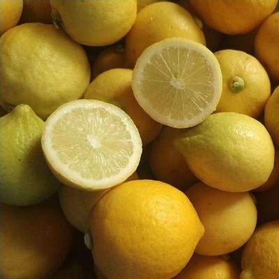 广东香水柠檬批发二级果黄果花皮青果奶茶店专用实惠图4