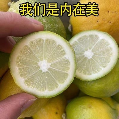 广东香水柠檬批发二级果黄果花皮青果奶茶店专用实惠图2