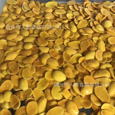 速冻水果冷冻芒果新鲜速冻果酱罐头原料大货批发冷冻小台芒图3