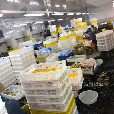 速冻水果冷冻芒果新鲜速冻果酱罐头原料大货批发冷冻小台芒图2