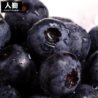 厂家现货 高鲜森冷冻水果冷冻蓝莓 速冻新鲜蓝莓冻果冷冻蓝莓图3