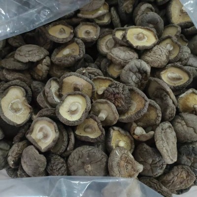 春栽香菇干货板菇光面菇冬菇肉厚平脚源头产地实力工厂直销图2