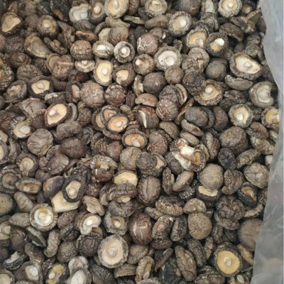 春栽香菇干货板菇光面菇冬菇肉厚平脚源头产地实力工厂直销图4