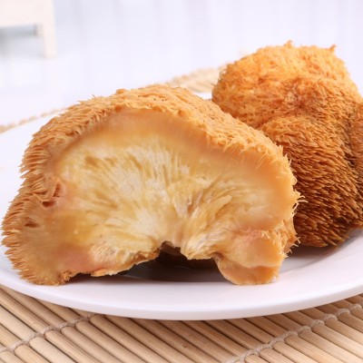 猴头菇野生蘑菇东北长白山深山菌菇特产干货火锅特产猴菇厂家批发图4