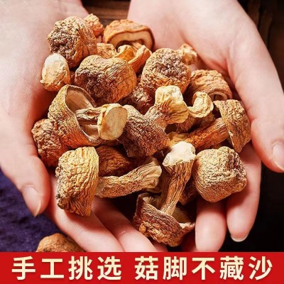 姬松茸食用菌新货云南特产姬松茸菌干货巴西蘑菇小松菇厂家批发图3