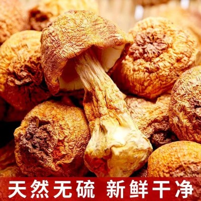 姬松茸食用菌新货云南特产姬松茸菌干货巴西蘑菇小松菇厂家批发图4