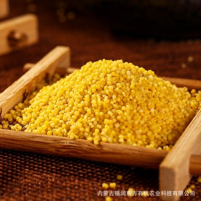 【绿色食品】福润东方黄小米新米5斤内蒙赤峰大金苗小米香糯2.5kg图2