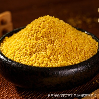 【绿色食品】福润东方黄小米新米5斤内蒙赤峰大金苗小米香糯2.5kg图3
