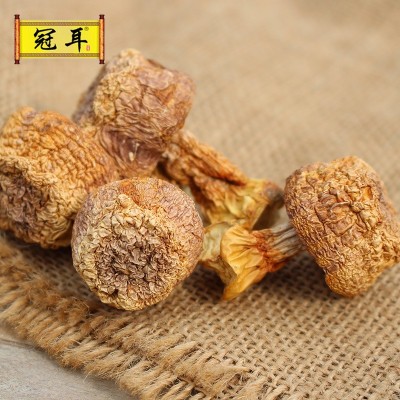 云南小姬松茸干货批发 巴西蘑菇 姬松菌 姬松菇菌菇特产250g图4