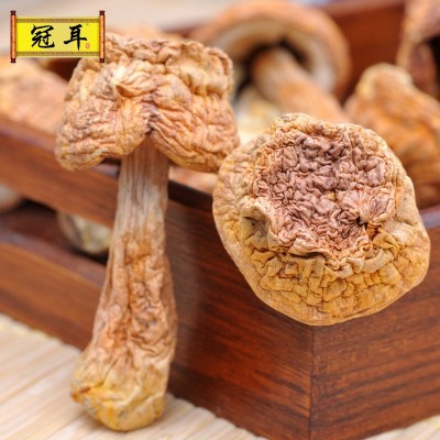 云南小姬松茸干货批发 巴西蘑菇 姬松菌 姬松菇菌菇特产250g图3