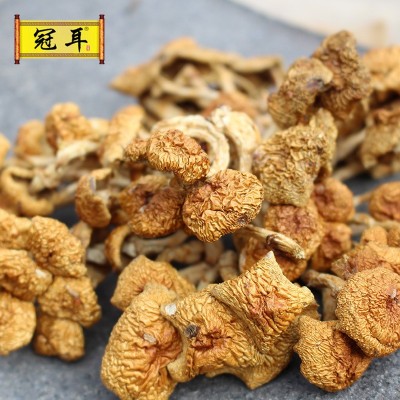 滑子菇干货古田食用菌菇特产山货农产品珍珠菇产地批发可代加工图2