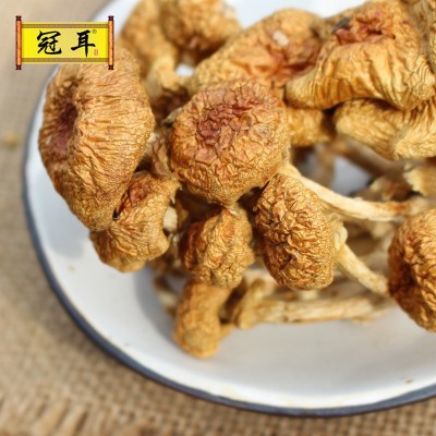滑子菇干货古田食用菌菇特产山货农产品珍珠菇产地批发可代加工图4