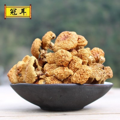 滑子菇干货古田食用菌菇特产山货农产品珍珠菇产地批发可代加工图3