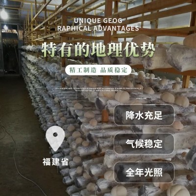 干品猴头菇（整个）清水猴头菇 冷冻猴头菇 可做不同规格图4