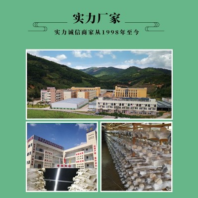 干品猴头菇（整个）清水猴头菇 冷冻猴头菇 可做不同规格图3