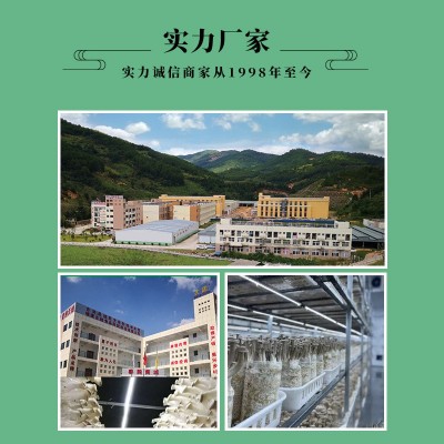 鹿茸菇　干锅食材　汤料食材图4