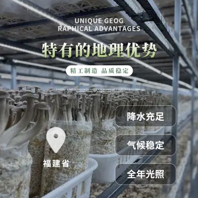 鹿茸菇　干锅食材　汤料食材图3
