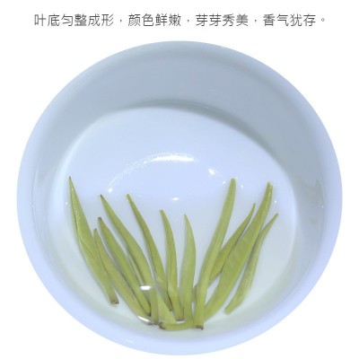2024横县茉莉花茶厂家直批 茉莉花茶批发茶叶批发图4
