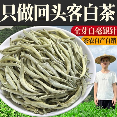 【茶农直销】特级白毫银针茶叶新茶明前首日芽全芽头福建高山白茶图2