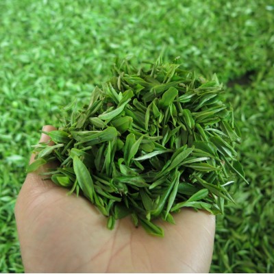 绿茶2024新茶厂家供货绿色食品栗香显毫500克乌山春牌英山云雾茶图5