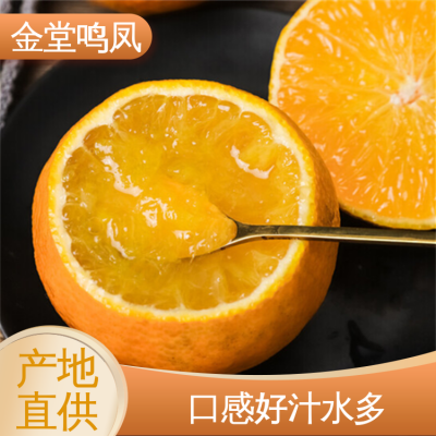 鸣凤生态农业 果形圆润皮薄 果园现摘现发 爱媛38号柑桔 水果批发图2