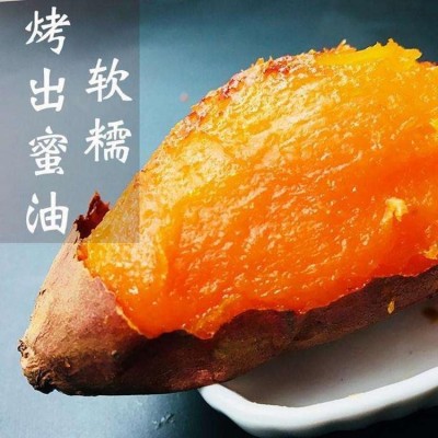 洪春品牌 烟薯 当季现摘 冰糖心红薯 健康农产品 新鲜 地瓜坊专用电烤红图4