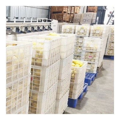安岳黄柠檬产地直供新鲜水果整箱批发薄皮一级奶茶酒店专用图2