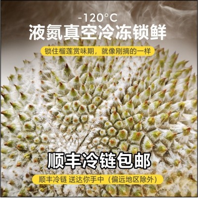 榴莲猫山王d197正宗马来西亚进口带壳整箱批发冷冻液氮猫山王榴莲图4