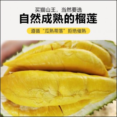 榴莲猫山王d197正宗马来西亚进口带壳整箱批发冷冻液氮猫山王榴莲图2