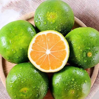 江西皮薄橘子桔子蜜桔新鲜青皮酸甜多汁水果当季新鲜柑橘小青绿皮图3