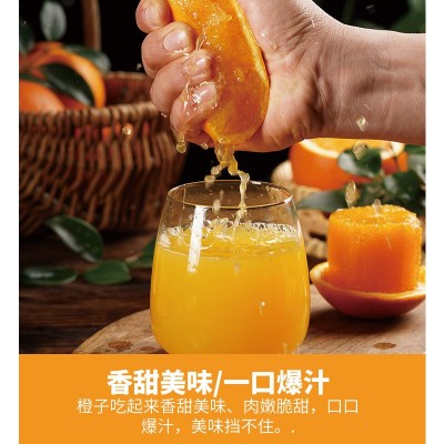 【果园直供】正宗赣南脐橙现摘现发新鲜水果皮薄香甜橙子一件代发图3