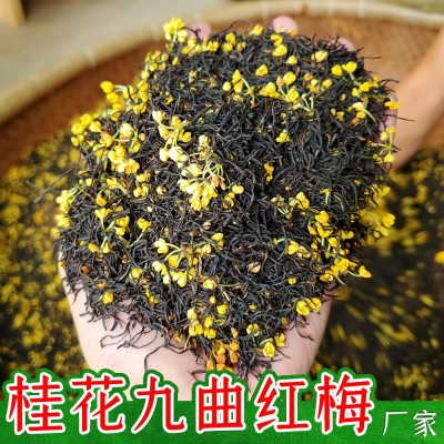 桂花红茶叶2024新茶窨制桂花九曲红梅金骏眉丹桂小种红茶散装批发图2