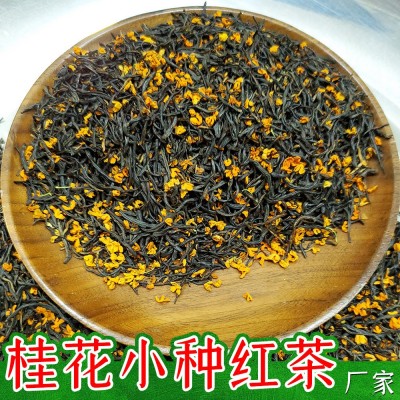 桂花红茶叶2024新茶窨制桂花九曲红梅金骏眉丹桂小种红茶散装批发图4